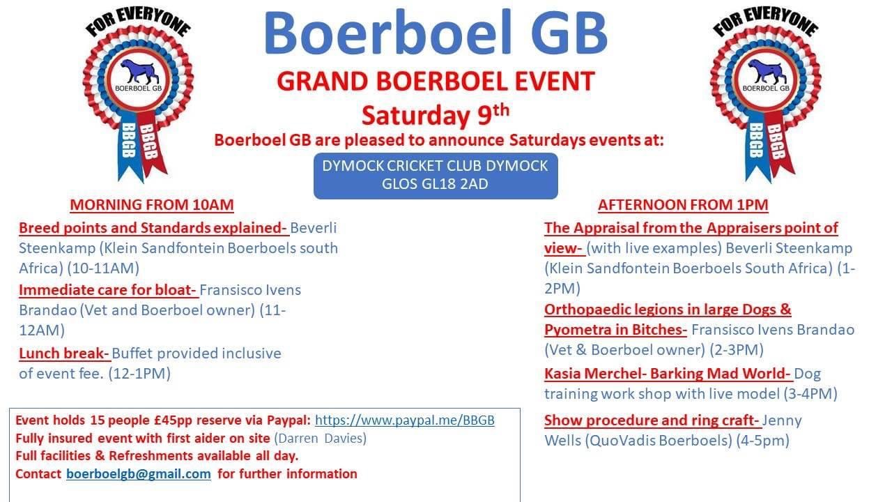 Boerboel GB Show 2017