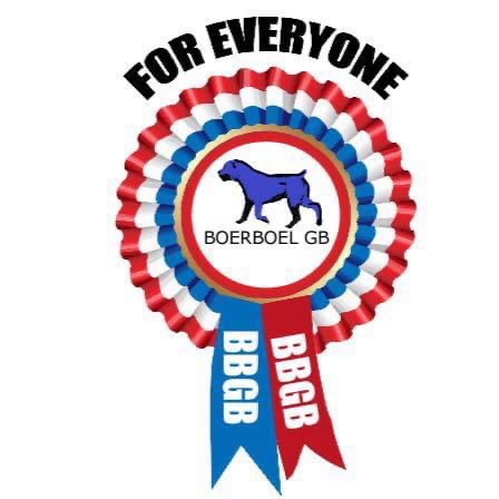 Boerboel GB are now SABBS affiliated