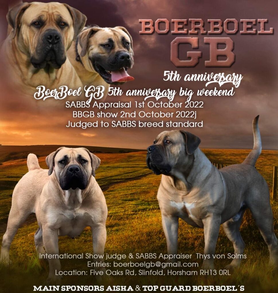 Past Events - Boerboel GB 5th Anniversary Weekend