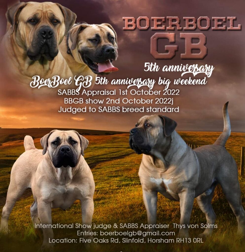 Boerboel GB 5th Anniverary Weekend