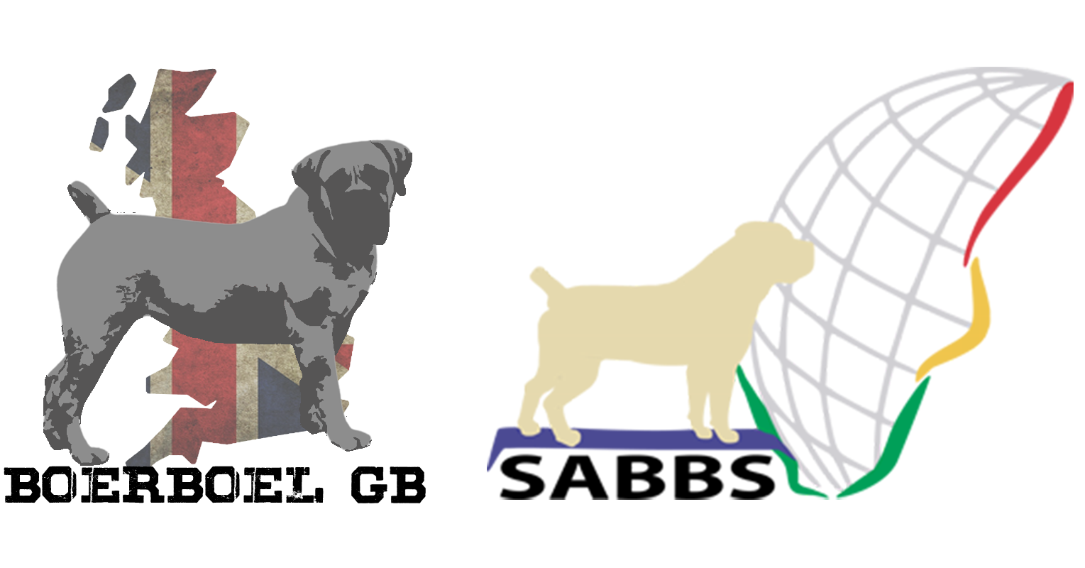 Boerboel GB are SABBS affiliated
