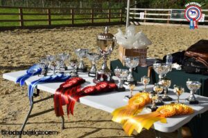 Boerboel GB Shows, Appraisals and Event News