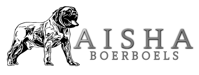 Aisha Boerboels - Boerboel Breeder in Stoke on Trent UK