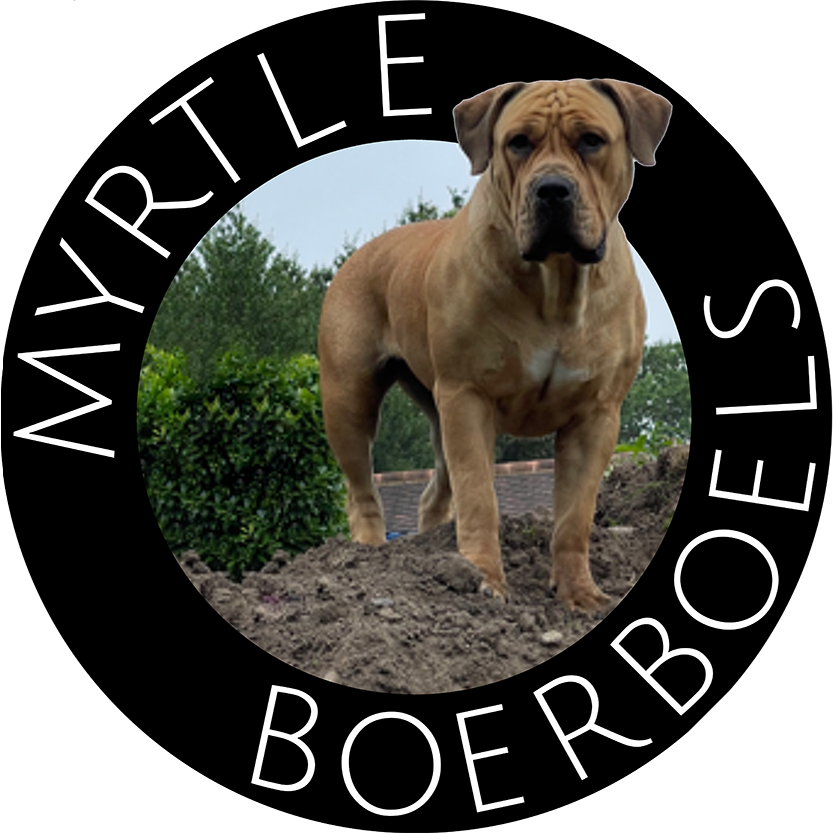 Myrtle Boerboels